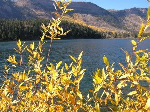 fall.oct.2017