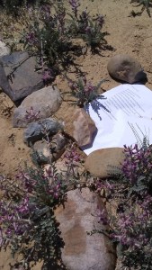 poem.plant.april2020